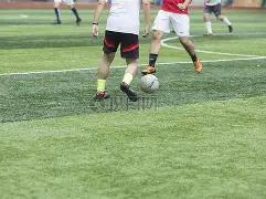 总决赛,重庆狼队,成都,IM电竞网页版下载,IM电竞网页版官网,IM电竞网页版登录,IM电竞网页版app