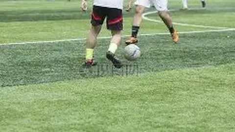 IM电竞网页版下载